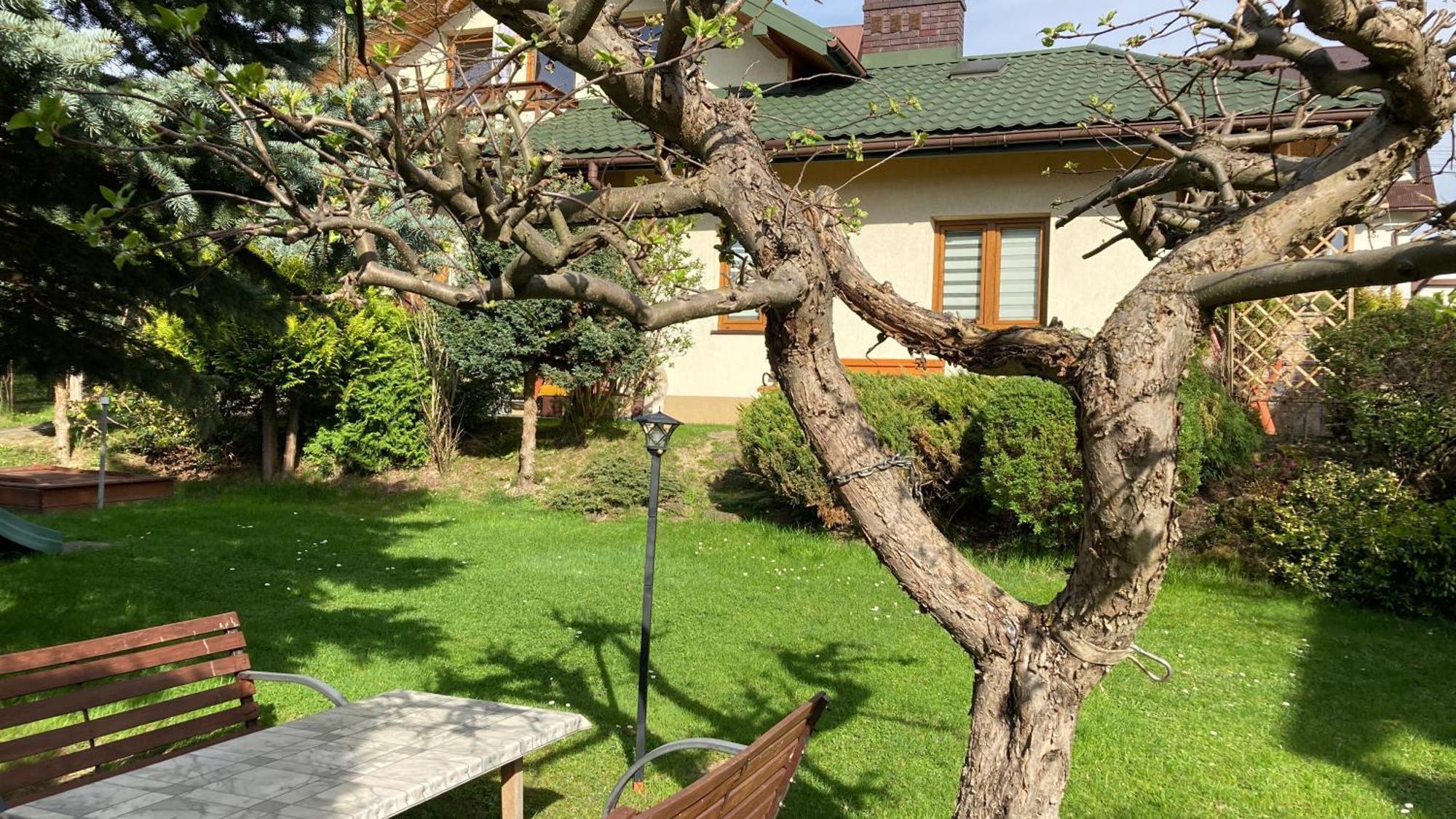 Apartamenty-Studio Noclegi Wczasy Wakacje Ferie - Pobyty Rodzinne Rabka-Zdrój Esterno foto